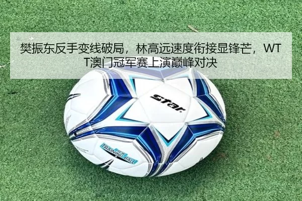 樊振东反手变线破局，林高远速度衔接显锋芒，WTT澳门冠军赛上演巅峰对决