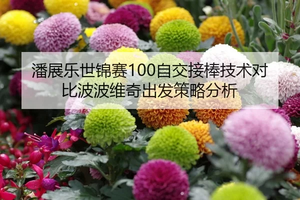 潘展乐世锦赛100自交接棒技术对比波波维奇出发策略分析