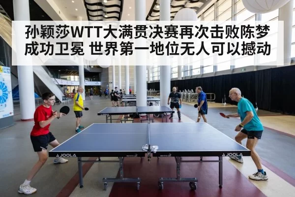 table tennis final match